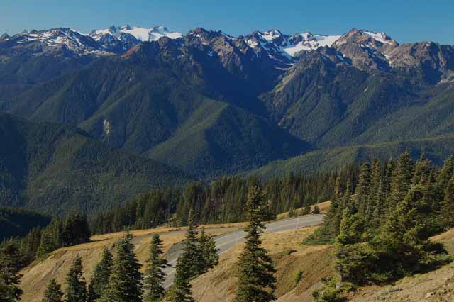 Hurricane Ridge